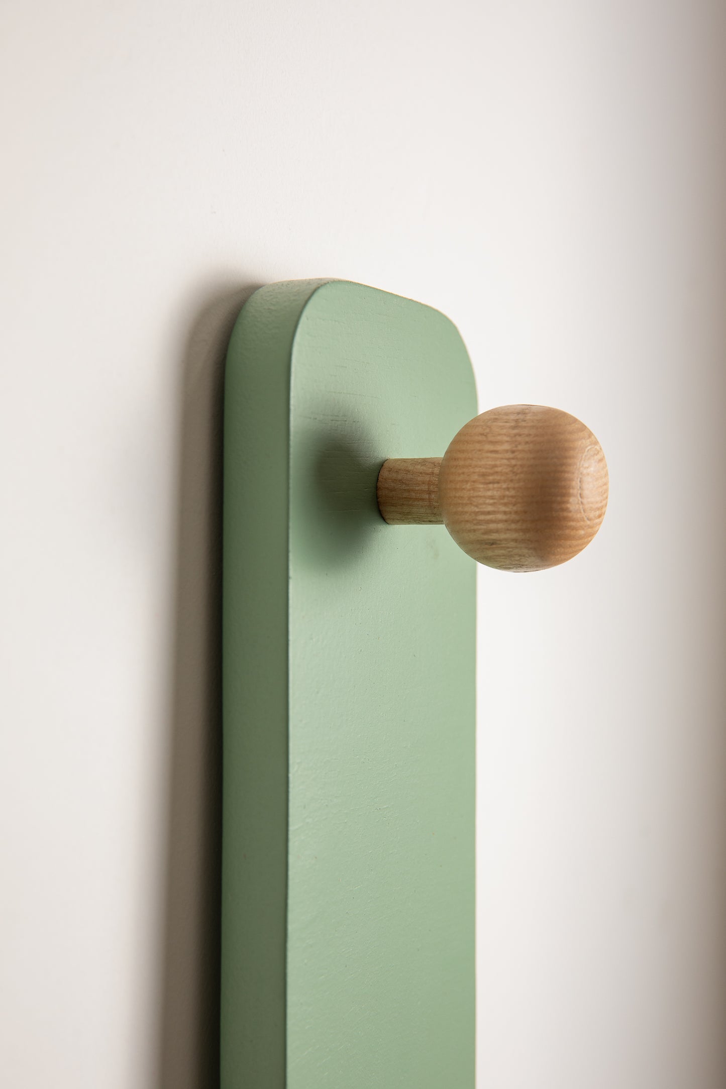 Catcus Wall Hanger | With Scratch Pad For Cats
