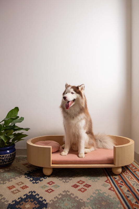 Cuddle Curve Dog Bed | With Water-Repellant Mattress