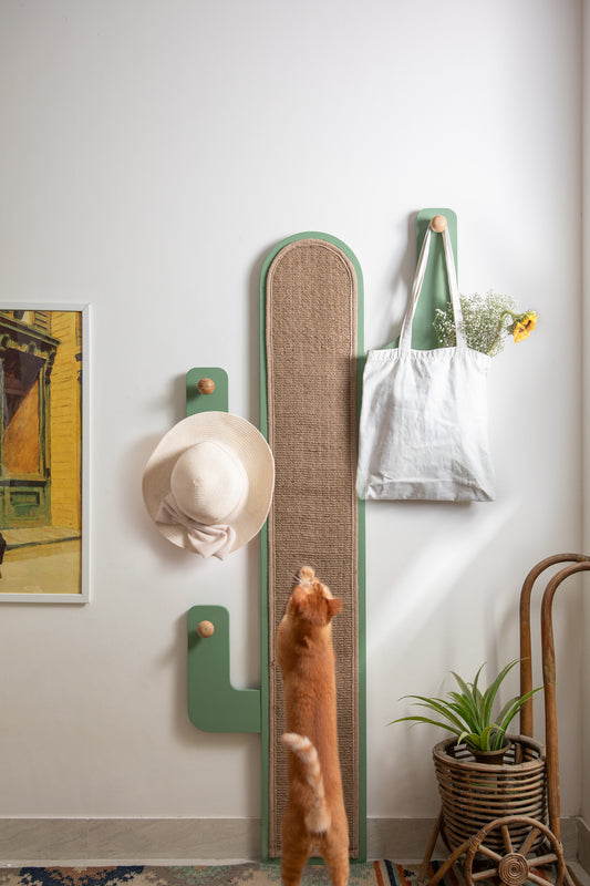 Catcus Wall Hanger | With Scratch Pad For Cats