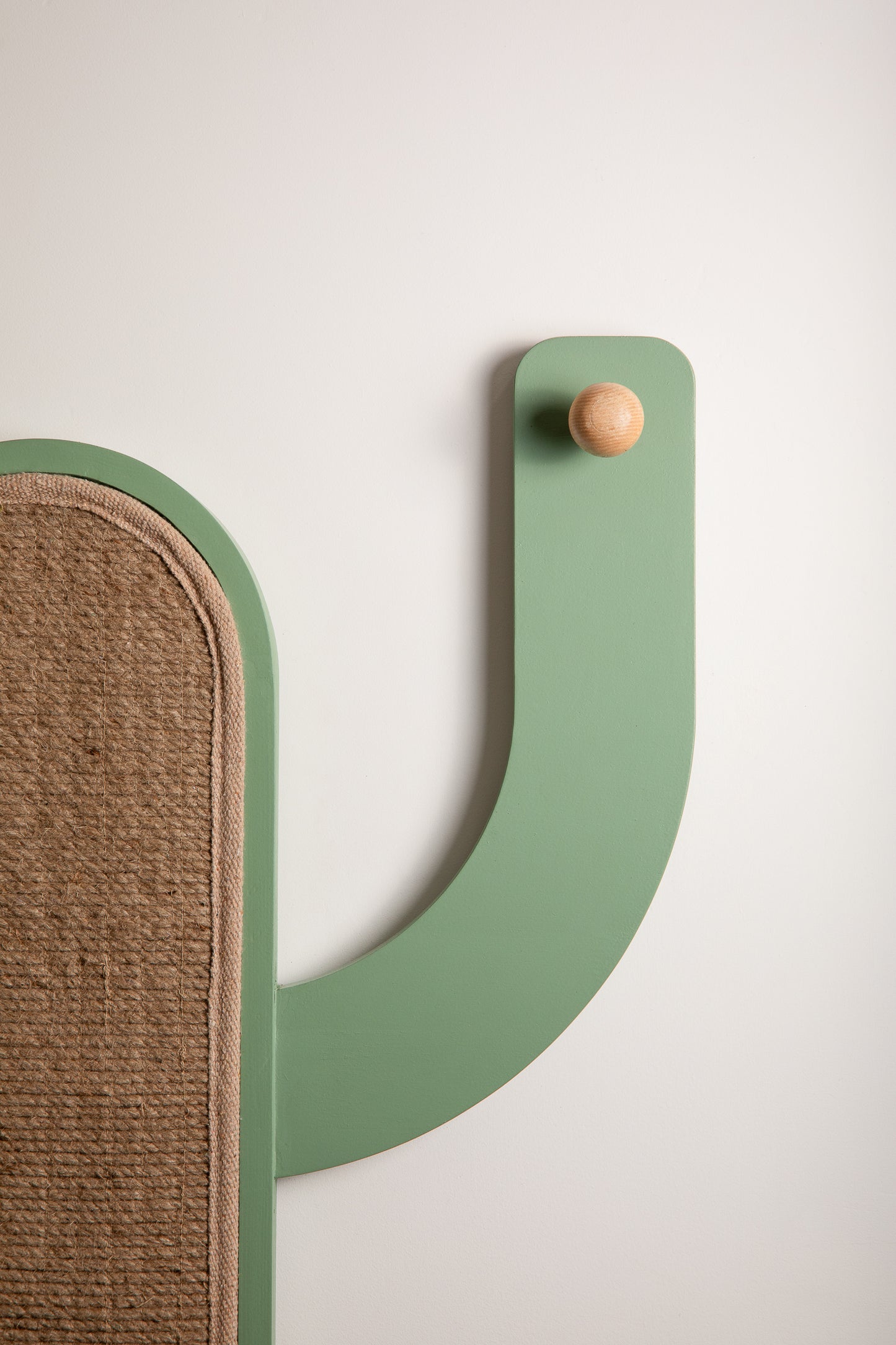 Catcus Wall Hanger | With Scratch Pad For Cats