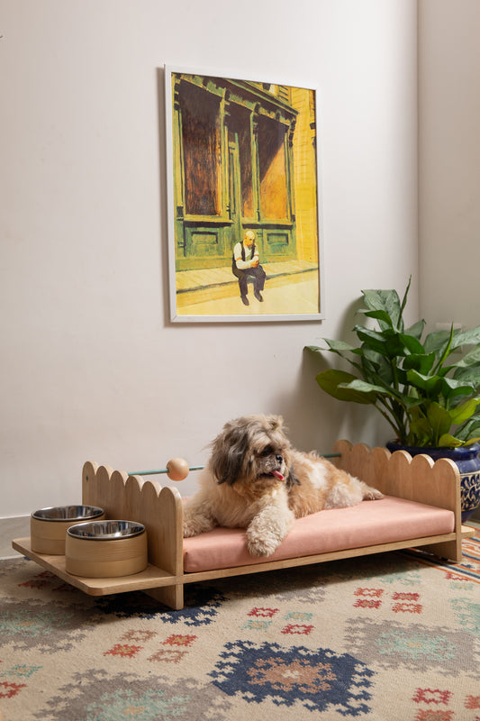 Woof-Top Dog Bed | With Dog Bowls